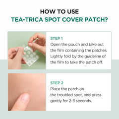 SKIN1004 Spot Cover Patch (22 Patches) SKIN1004