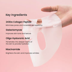 Biodance Bio-Collagen Real Deep Mask (4Pcs-Box) Biodance